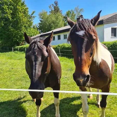Ferienwohnung Lippert Kuenzell Exterior foto